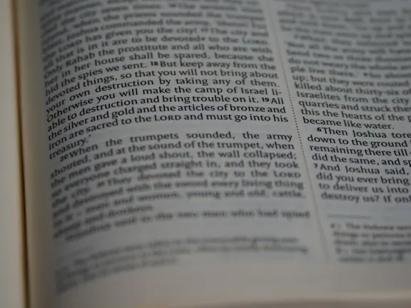 Hejgo Kaszinó Támogatás